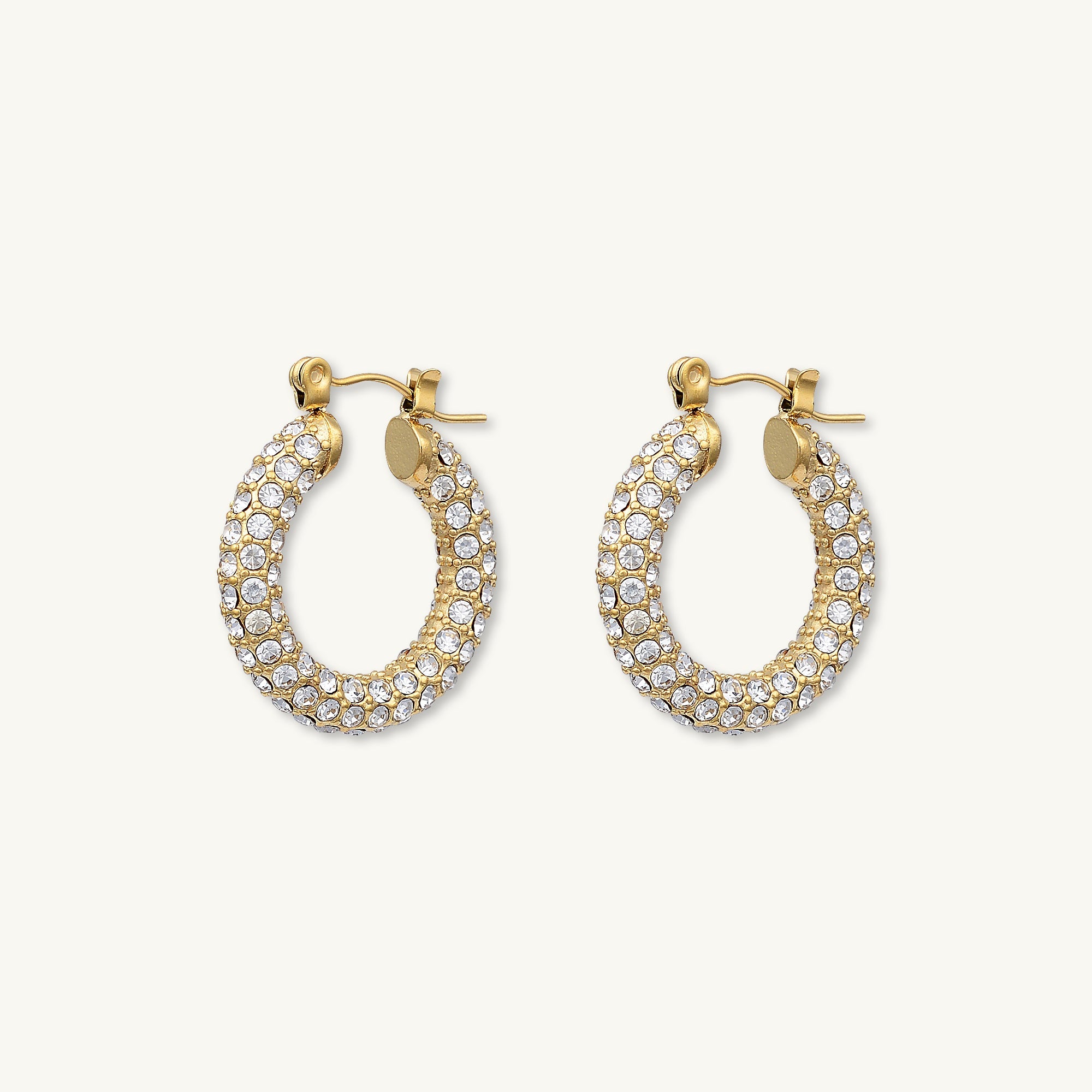 Alessia Zirconia Hoop Earrings - Camile & Stone