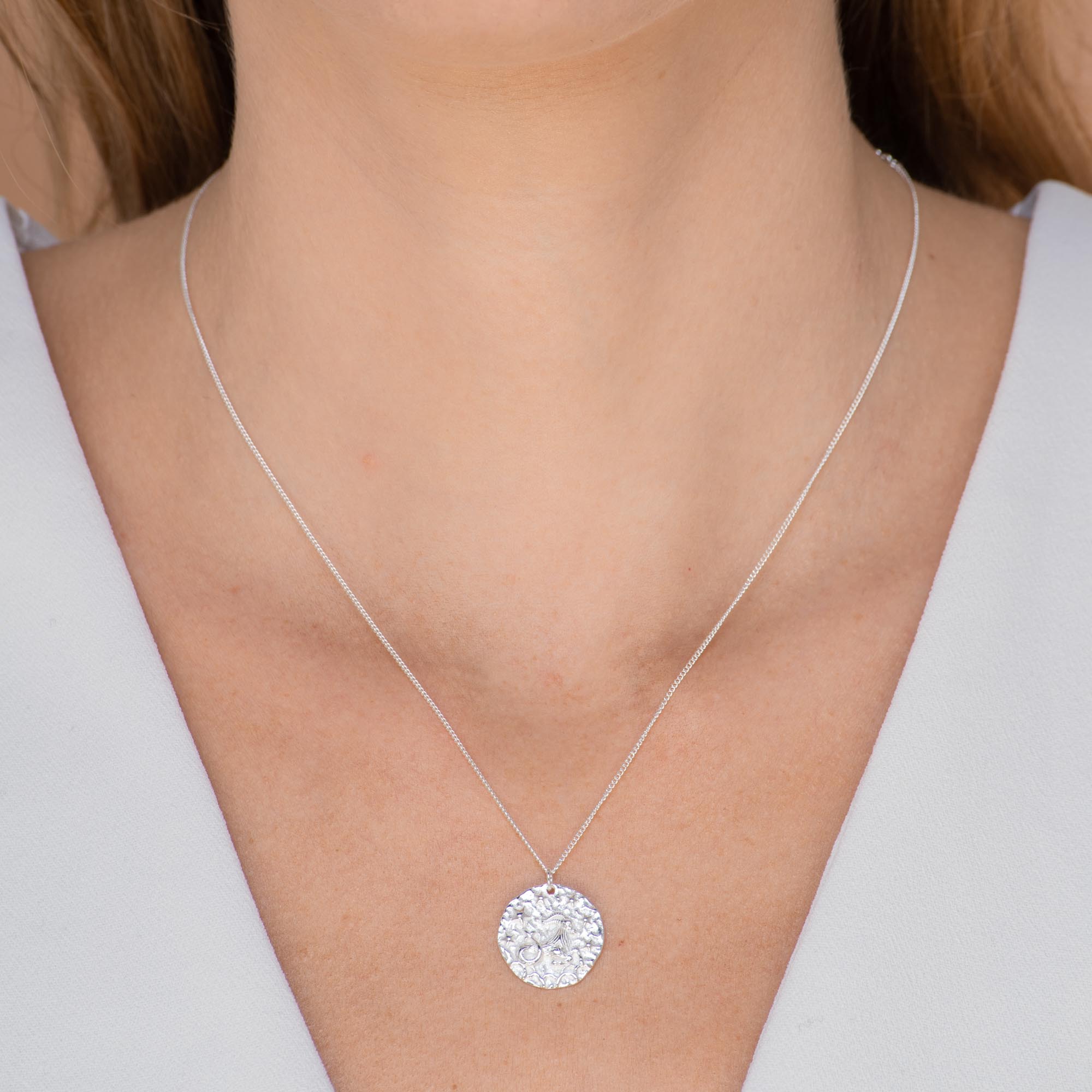 Capricorn - Star Sign Necklace - Camile & Stone