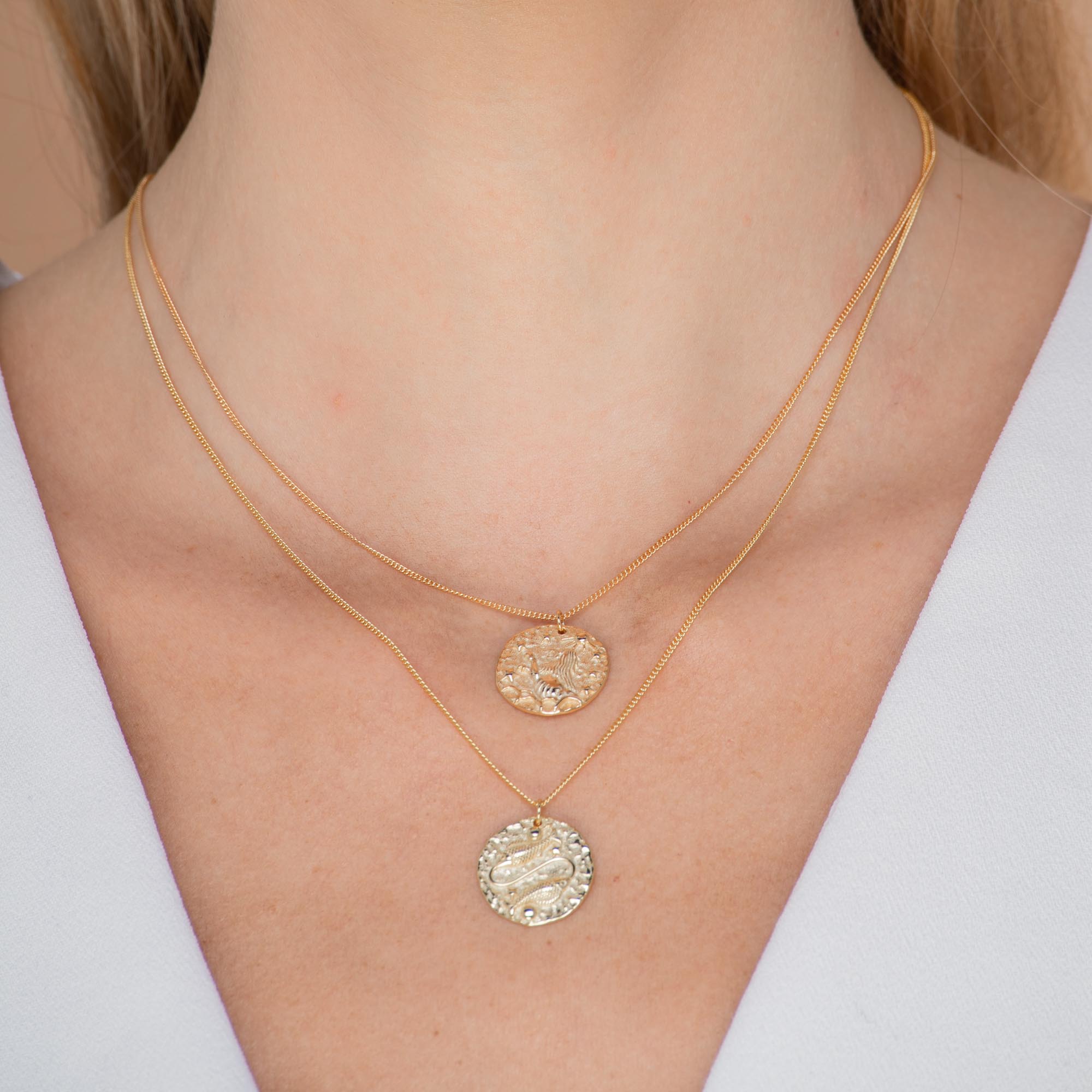 Pisces - Star Sign Necklace - Camile & Stone