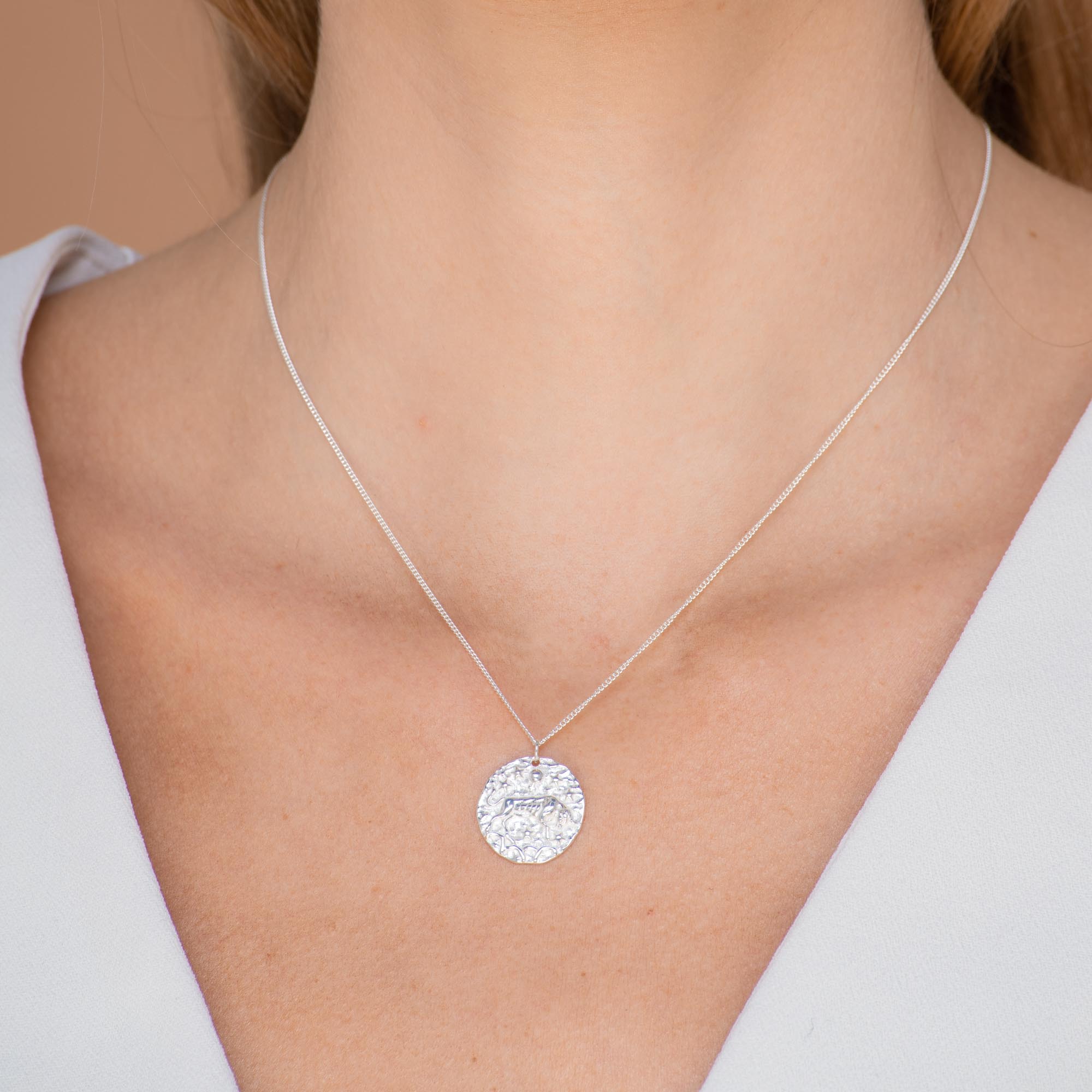 Taurus - Star Sign Necklace - Camile & Stone