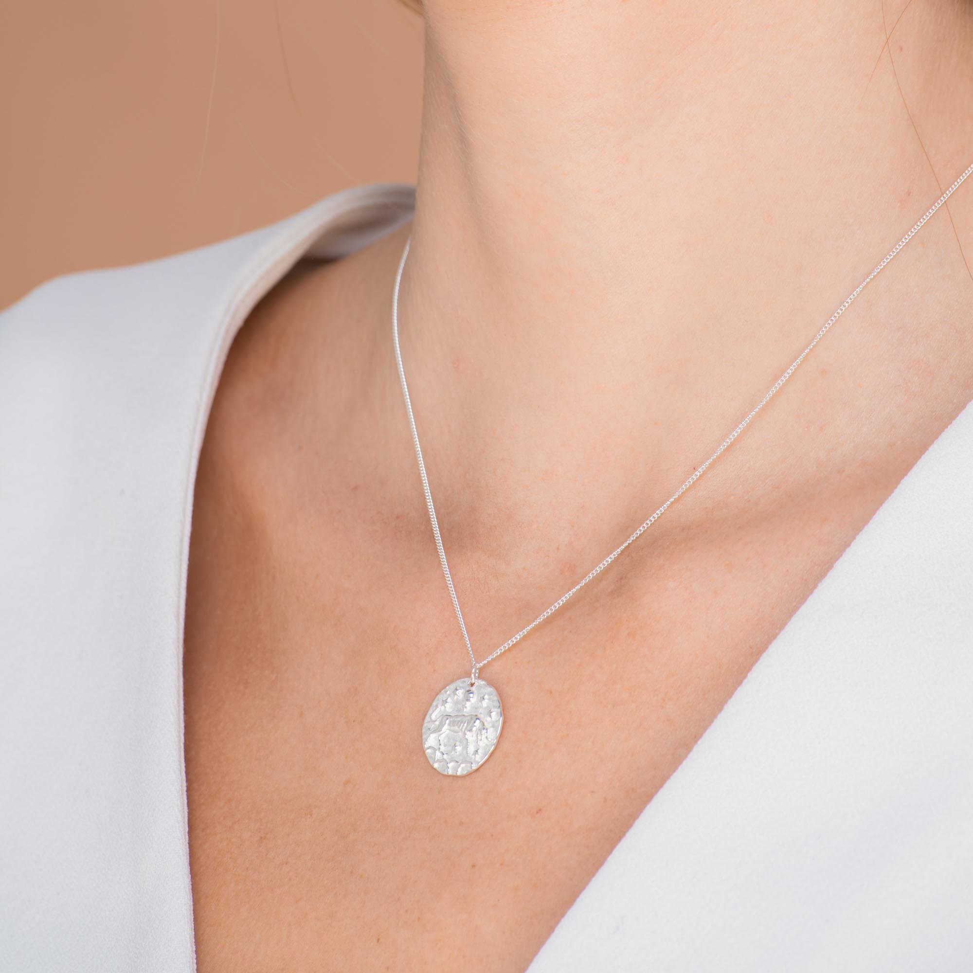 Taurus - Star Sign Necklace - Camile & Stone