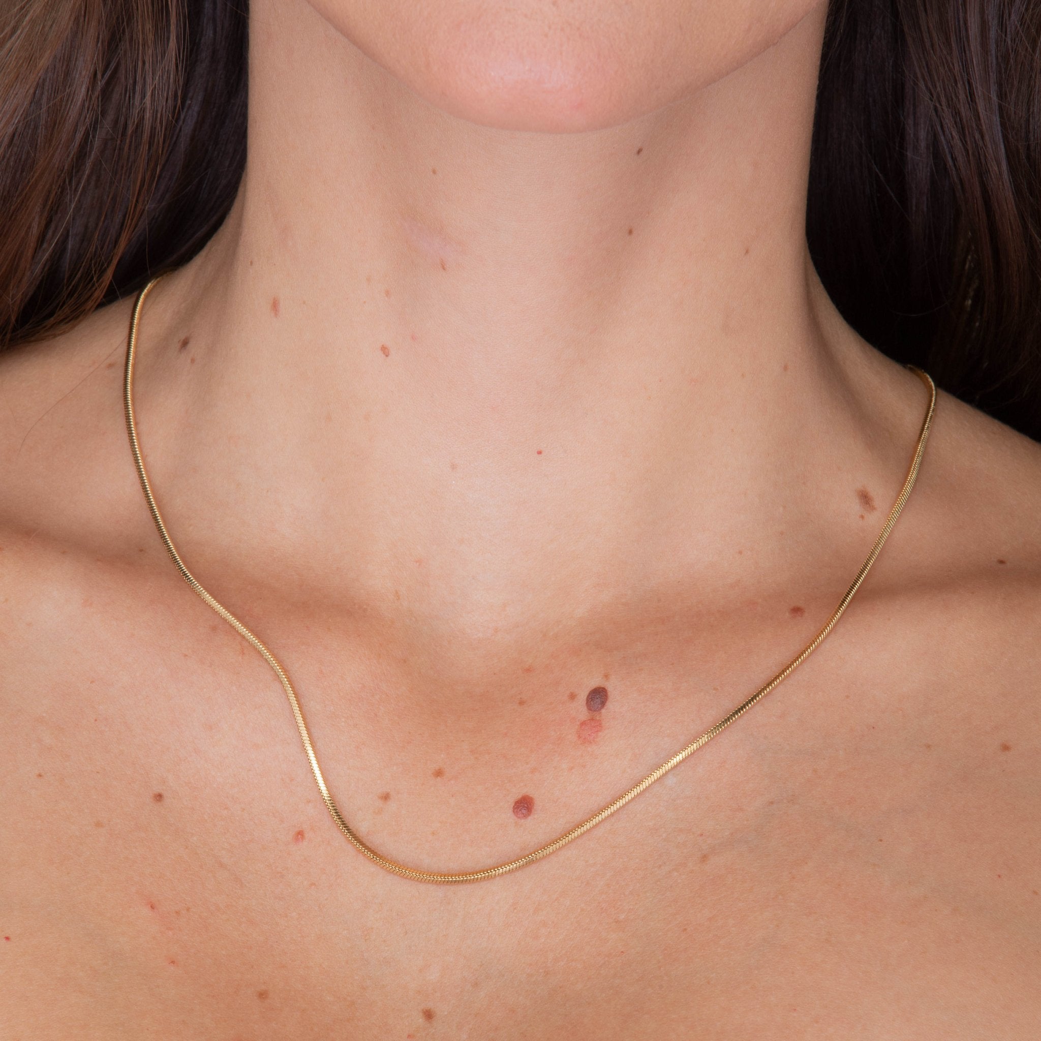 Unisex Small Dog Tag Snake Chain Necklace - Camile & Stone