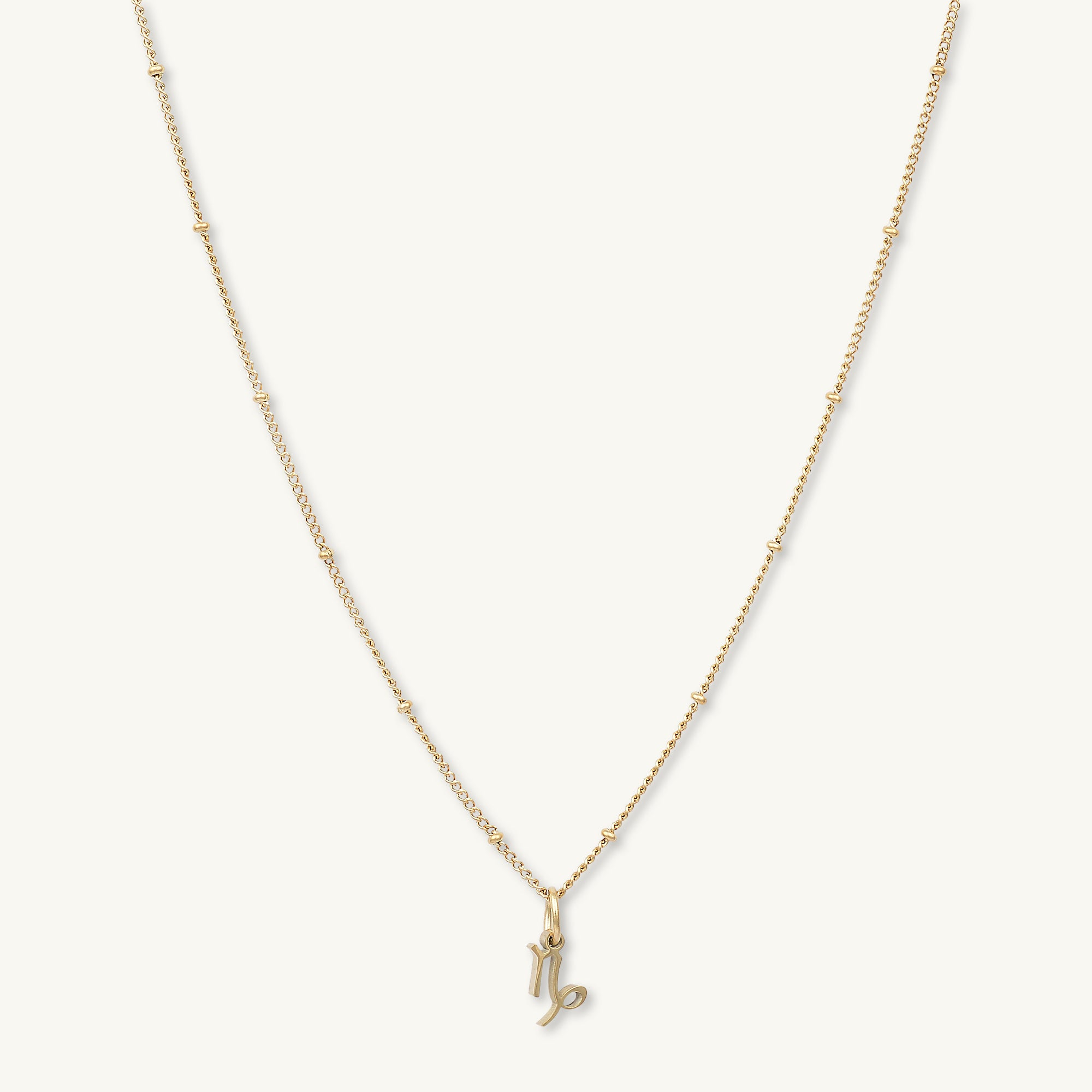 Capricorn Pendant Zodiac Star Sign Necklace