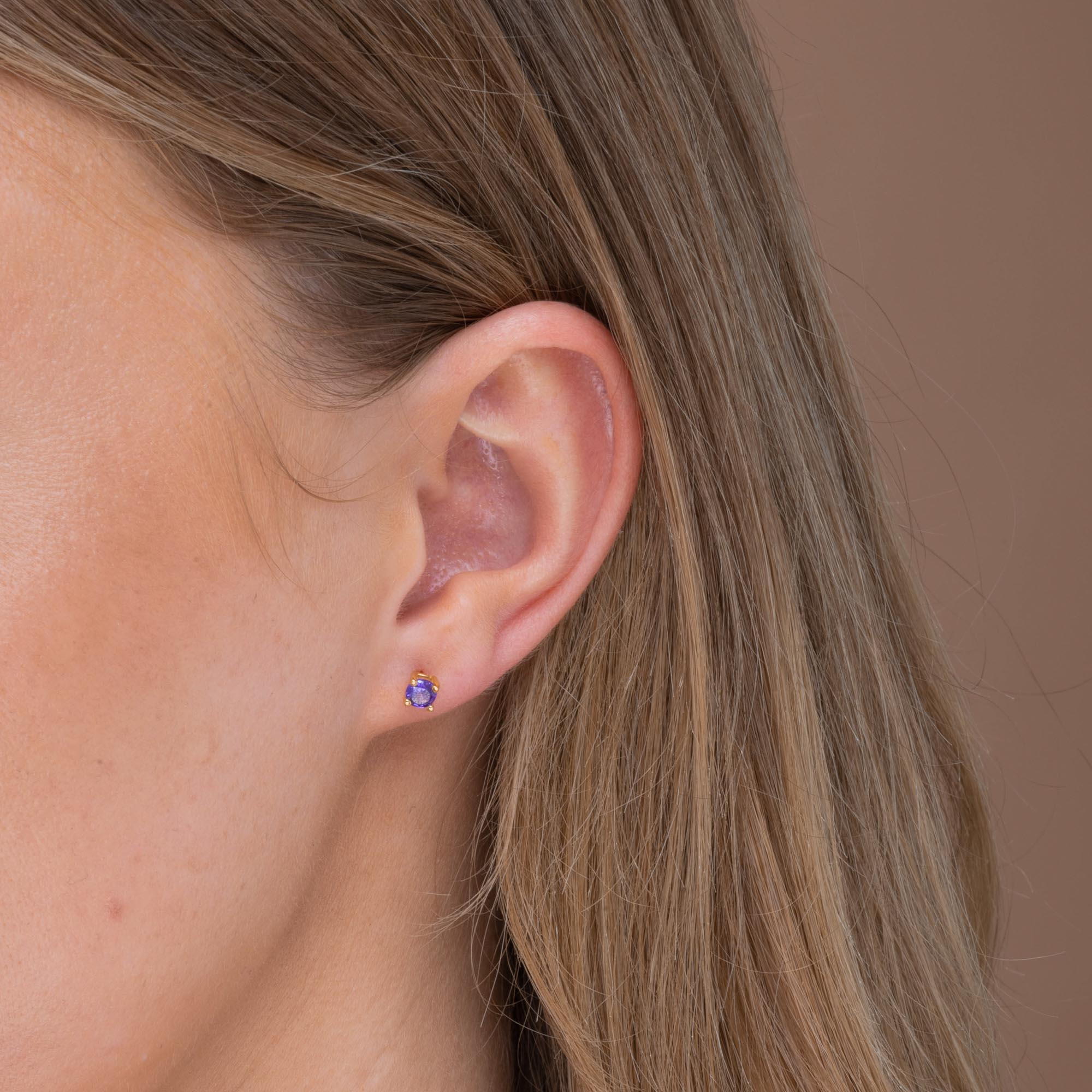 Classic Birthstone Earrings February - Camile & Stone