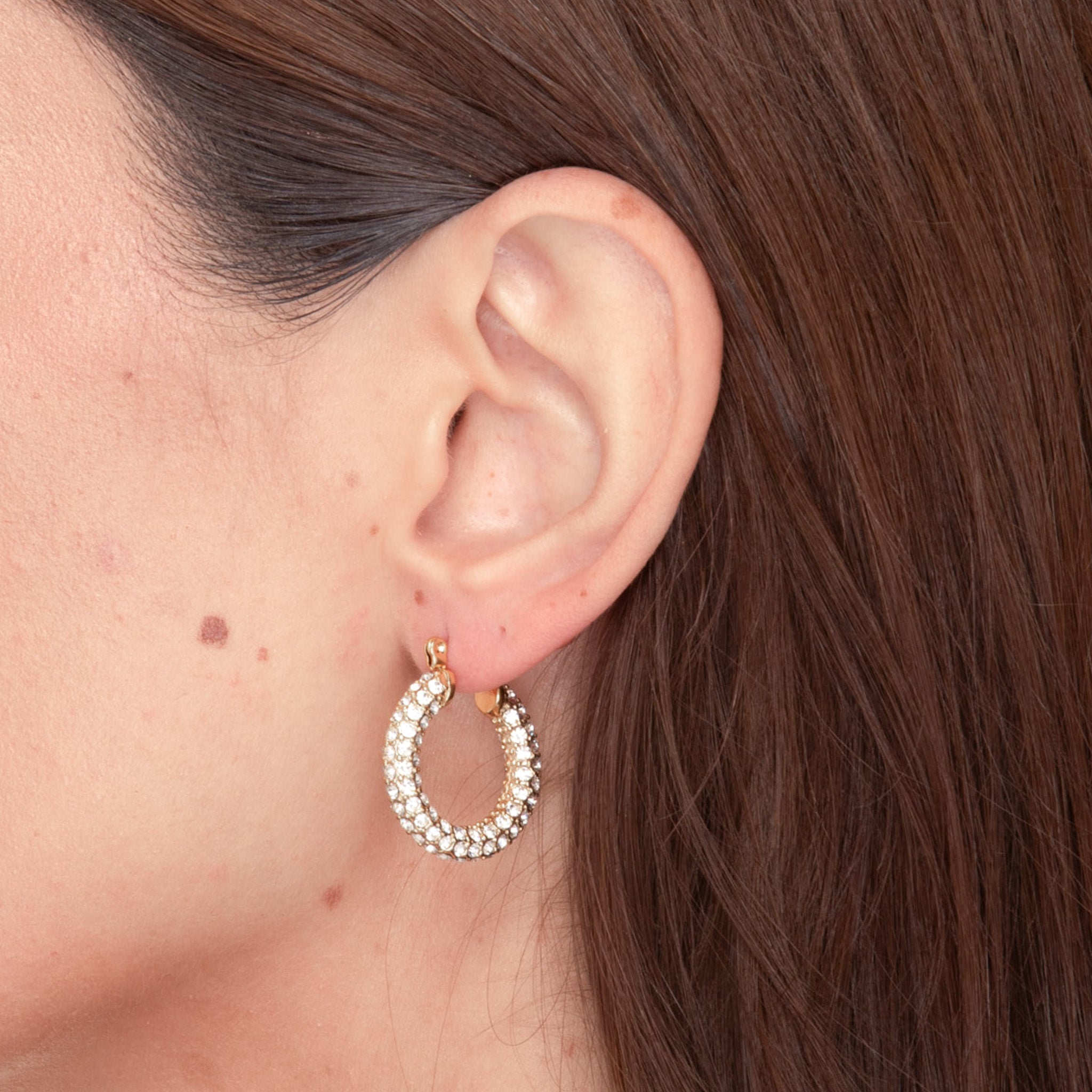 Alessia Zirconia Hoop Earrings