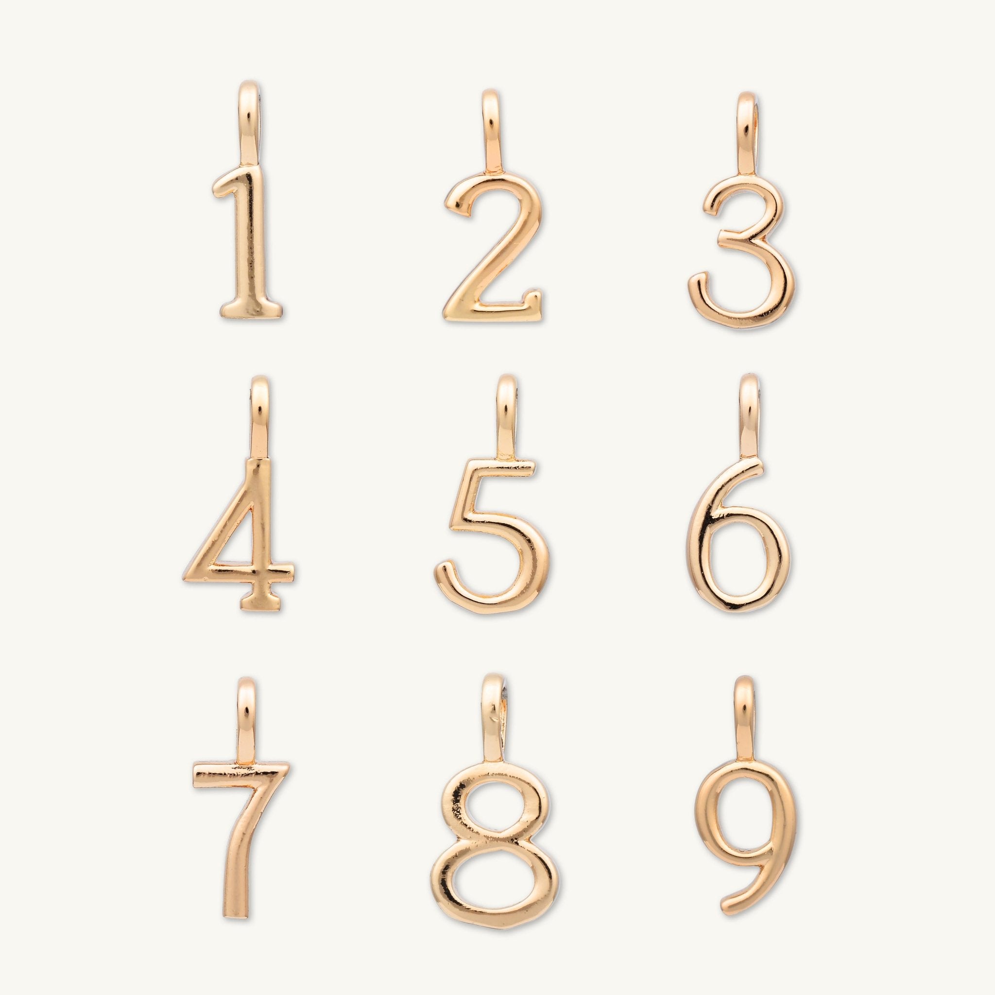 Numbers Charm Pendant - Camile & Stone