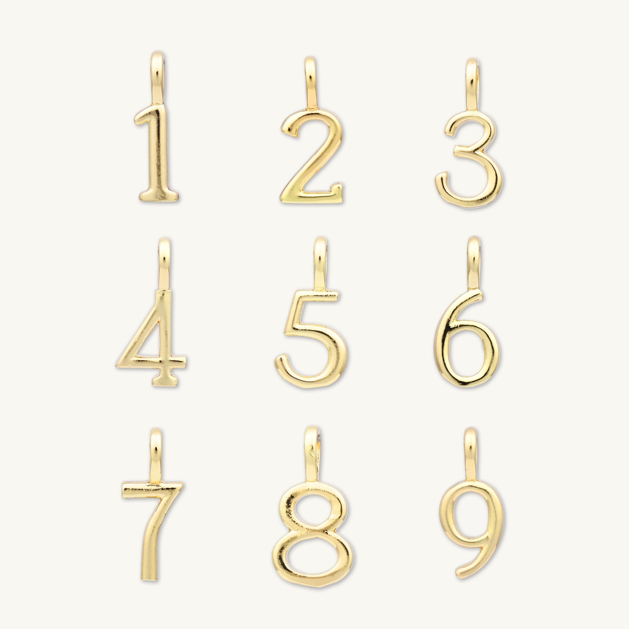 Numbers Charm Pendant - Camile & Stone