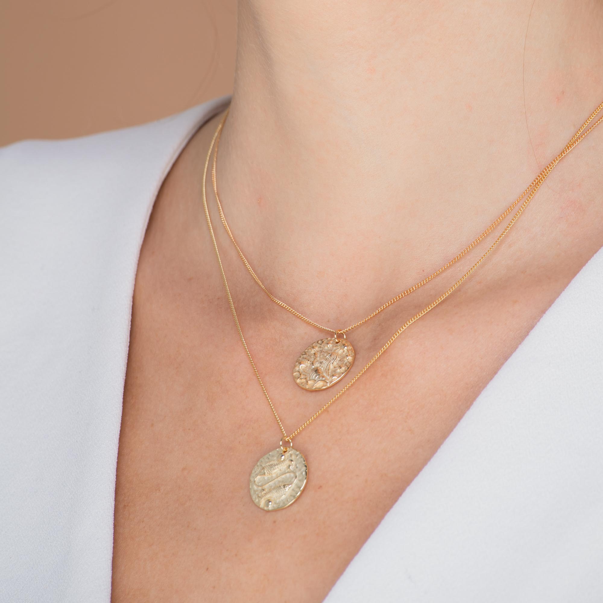 Pisces - Star Sign Necklace - Camile & Stone